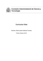 Curriculum Vitae - Universidad de Sevilla