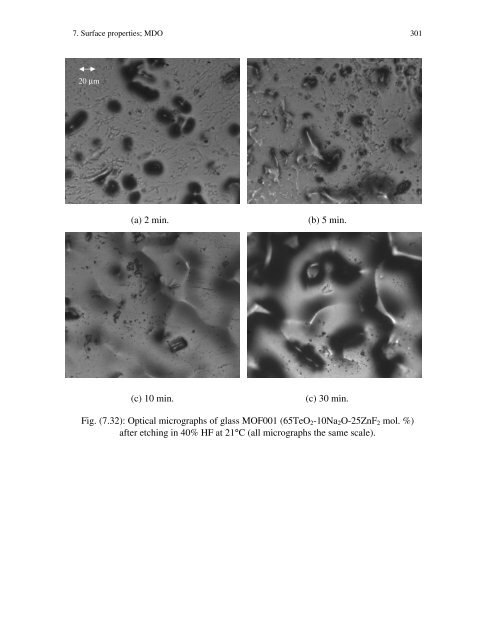 Tellurite And Fluorotellurite Glasses For Active And Passive