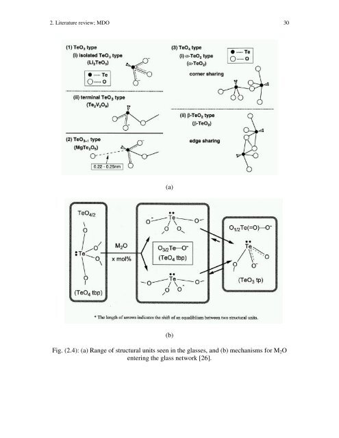 Tellurite And Fluorotellurite Glasses For Active And Passive