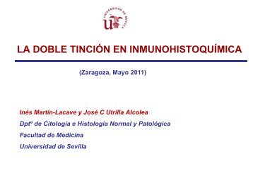 La doble tinción en inmunohistoquímica