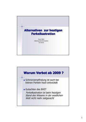 Alternativen zur Ferkelkastration - VETimpulse.de