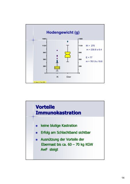 Alternativen zur Ferkelkastration - VETimpulse.de