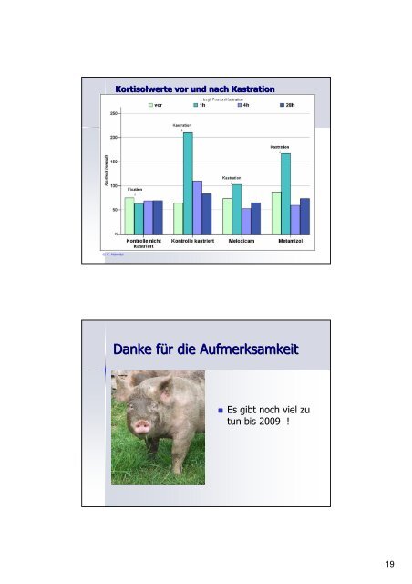 Alternativen zur Ferkelkastration - VETimpulse.de