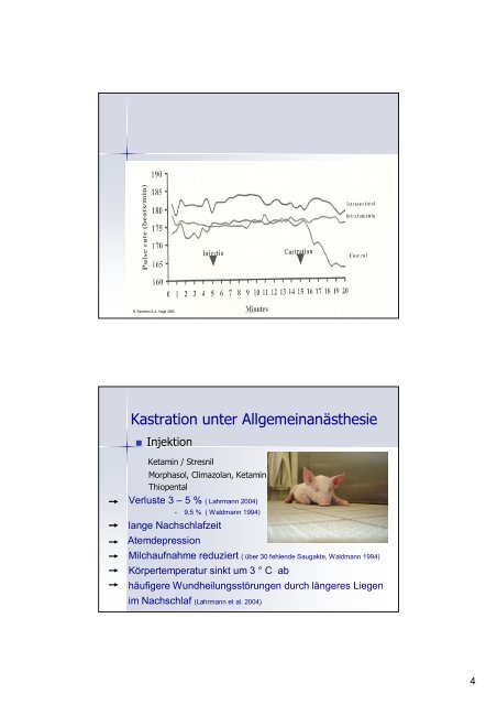 Alternativen zur Ferkelkastration - VETimpulse.de