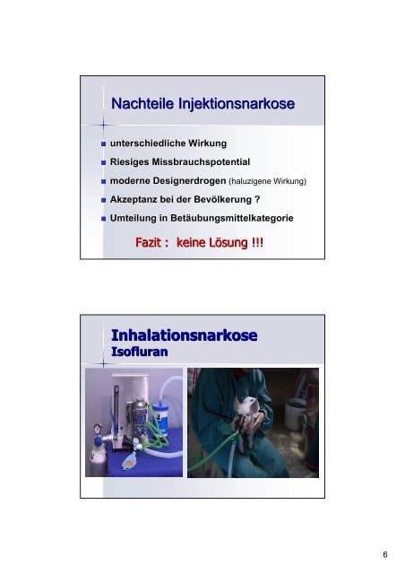 Alternativen zur Ferkelkastration - VETimpulse.de