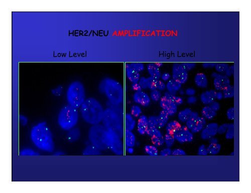 Immunoistochimica e Biologia Molecolare - Università degli Studi di ...