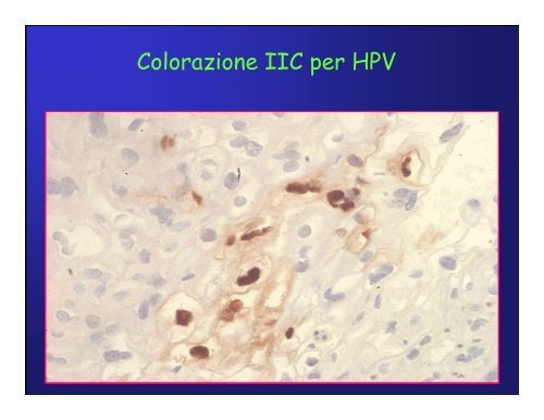 Immunoistochimica e Biologia Molecolare - Università degli Studi di ...