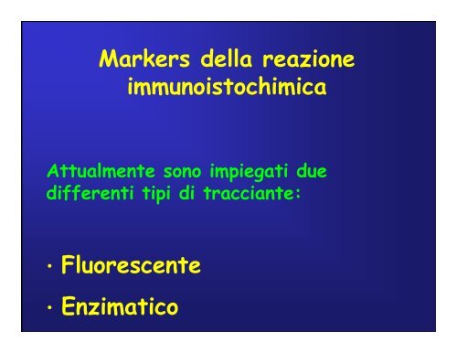 Immunoistochimica e Biologia Molecolare - Università degli Studi di ...