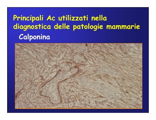 Immunoistochimica e Biologia Molecolare - Università degli Studi di ...