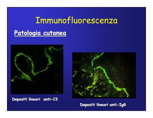 Immunoistochimica e Biologia Molecolare - Università degli Studi di ...