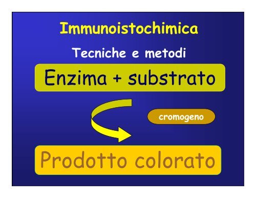 Immunoistochimica e Biologia Molecolare - Università degli Studi di ...