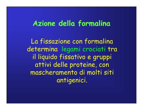 Immunoistochimica e Biologia Molecolare - Università degli Studi di ...