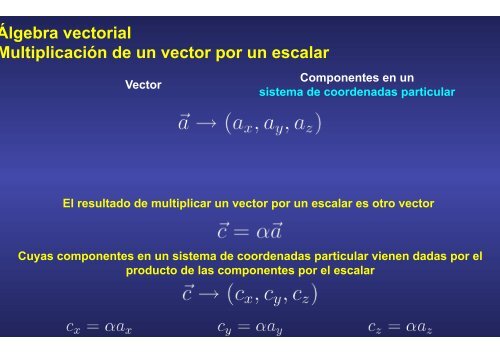 2.vectores