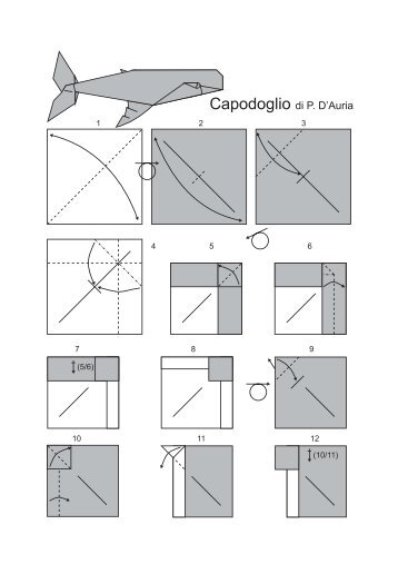 Capodoglio di P. D'Auria - Pasquale D'Auria