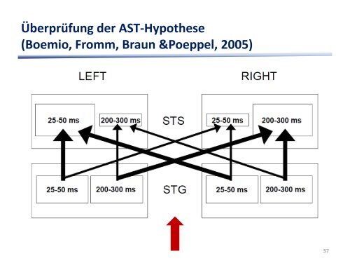 Neurobiologische Modelle der Sprache