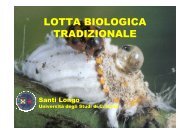 17-LOTTA BIOLOGICA ENTOMOFAGI - Dipartimento di Gestione dei ...