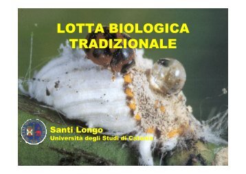 17-LOTTA BIOLOGICA ENTOMOFAGI - Dipartimento di Gestione dei ...