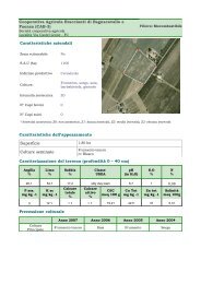 Cooperativa Agricola Braccianti di Bagnacavallo e Faenza (CAB-3 ...