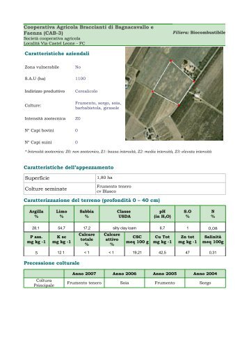 Cooperativa Agricola Braccianti di Bagnacavallo e Faenza (CAB-3 ...