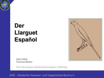 Der Llarguet Espanol - Deutscher Kanarien- und Vogelzüchter-Bund ...