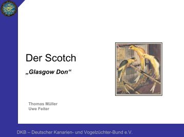 Scotch - Deutscher Kanarien- und Vogelzüchter-Bund e.V.