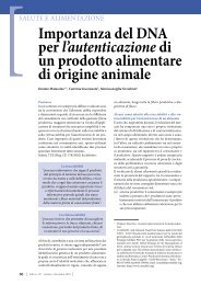 127-30-35-matassino importanza del DNA per l'autenticazione.pdf