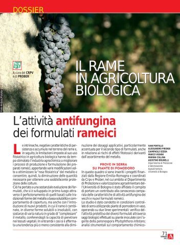 Il rame in agricoltura biologica - Ermes Agricoltura