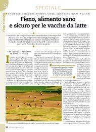 Fieno, alimento sano e sicuro per le vacche da latte - Centro ...