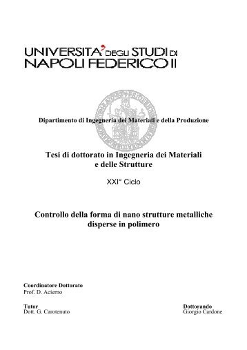 Tesi di dottorato in Ingegneria dei Materiali e delle Strutture ... - FedOA