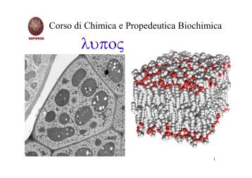 Biomolecole 3