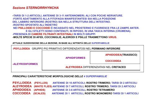 CONTROLLO - Dipartimento di Gestione dei Sistemi Agroalimentari ...