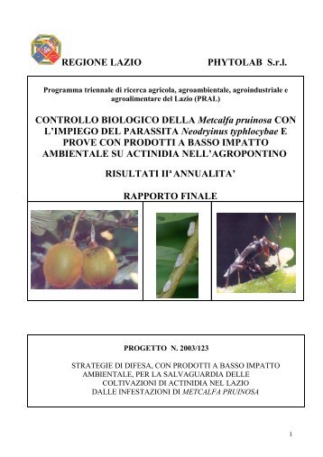 Controllo biologico della Metcalfa pruinosa - Regione Lazio