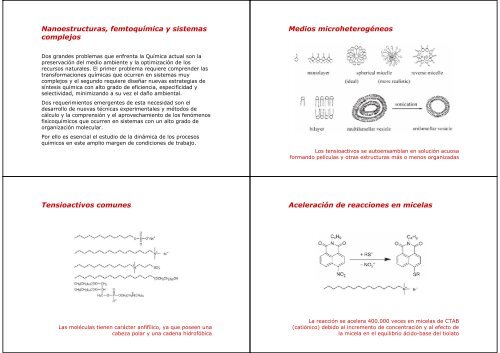 Nanoestructuras, femtoquímica y sistemas complejos Medios ...