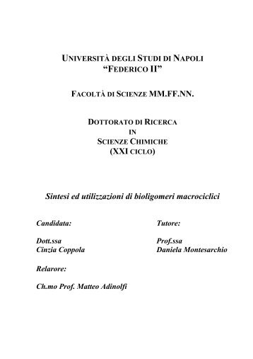 PDF (tesi dottorato) - FedOA - Università degli Studi di Napoli ...