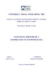 Interazioni idrofobiche e assemblaggio di macromolecole