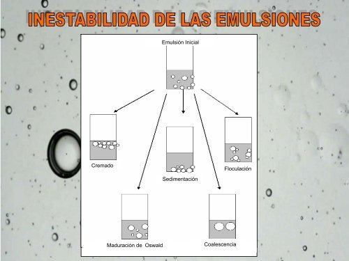 Laminas de Emulsiones 2010RG.pdf - Saber UCV - Universidad ...