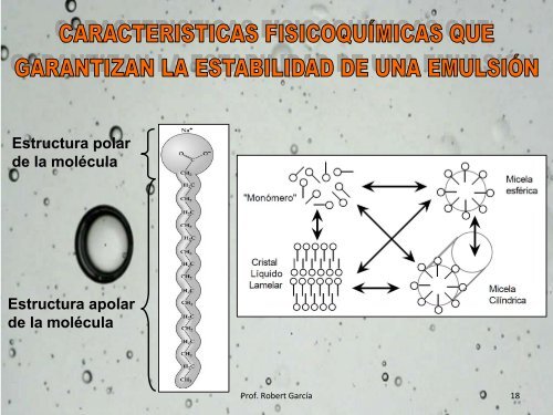 Laminas de Emulsiones 2010RG.pdf - Saber UCV - Universidad ...