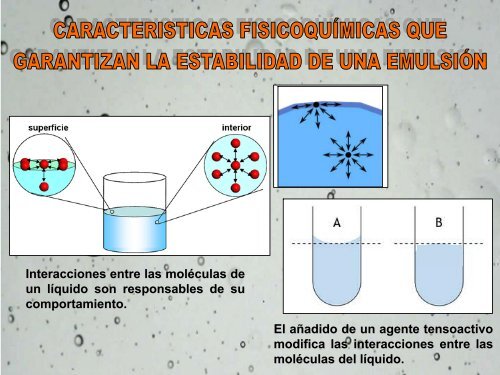 Laminas de Emulsiones 2010RG.pdf - Saber UCV - Universidad ...