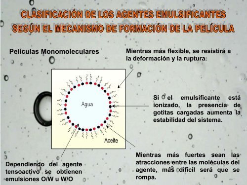 Laminas de Emulsiones 2010RG.pdf - Saber UCV - Universidad ...