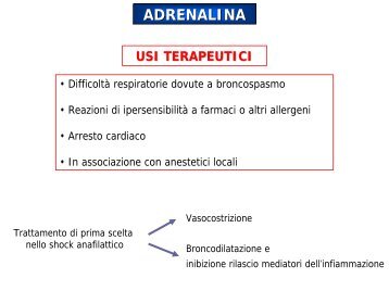 Trasmissione adrenergica 2