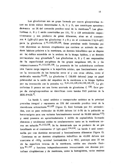 la esferocitosis hereditaria y su diagnostico en la practica clinica