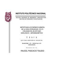 instituto politécnico nacional tesis raucel pascacio toledo