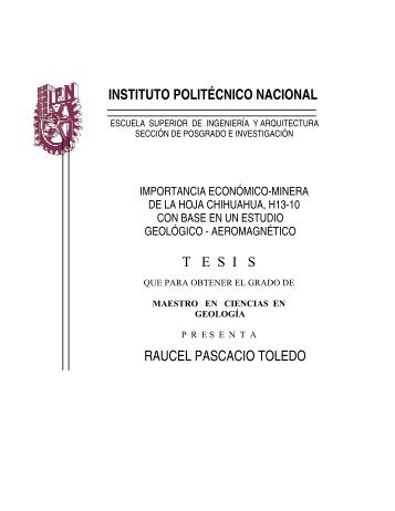 instituto politécnico nacional tesis raucel pascacio toledo