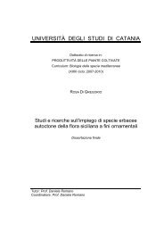 Visualizza/apri - ArchivIA - Università degli Studi di Catania