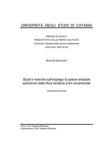 Visualizza/apri - ArchivIA - Università degli Studi di Catania