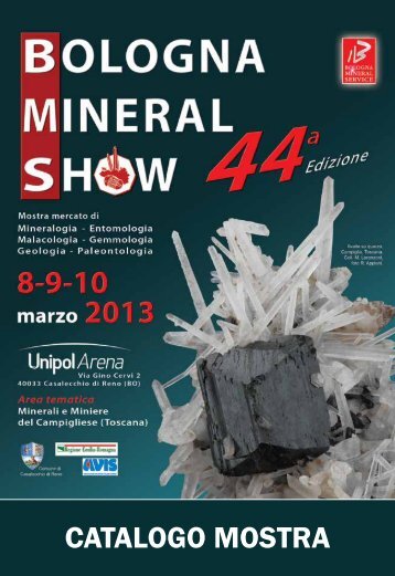 Catalogo 2013 (PDF) - Bologna Mineral Show