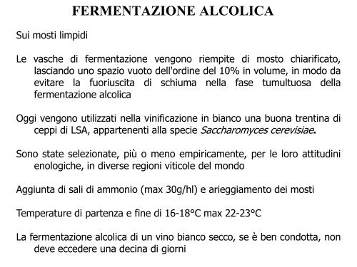 Enologia - Associazione Studenti di Agraria IAAS Sassari