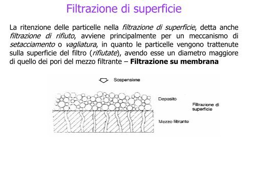 Enologia - Associazione Studenti di Agraria IAAS Sassari