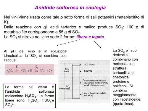 Enologia - Associazione Studenti di Agraria IAAS Sassari