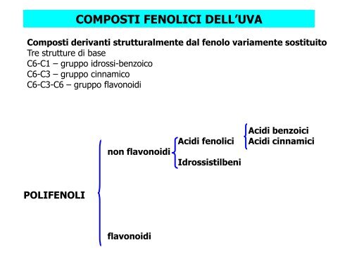 Enologia - Associazione Studenti di Agraria IAAS Sassari